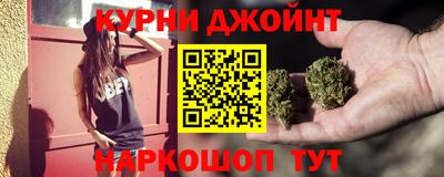сатива Будённовск