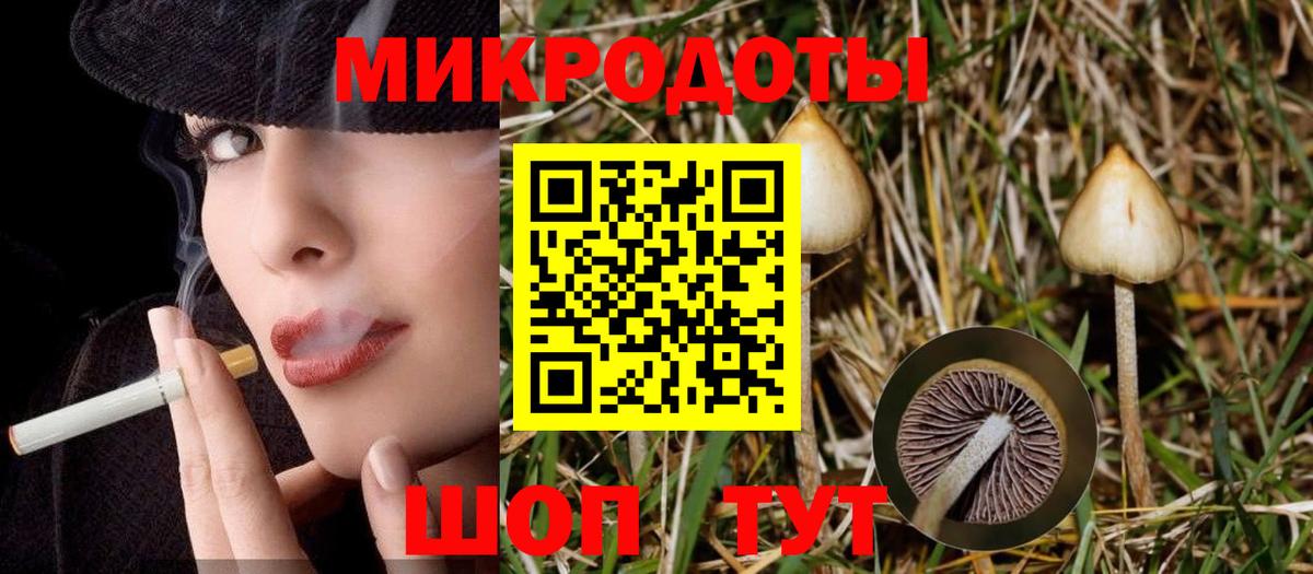 Барабинск  Псилоцибиновые грибы мухоморы  Псилоцибиновые грибы Magic Shrooms  Вход с VPN 